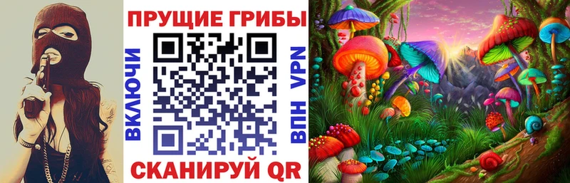 Купить  Луховицы  Галлюциногенные грибы Magic Shrooms 